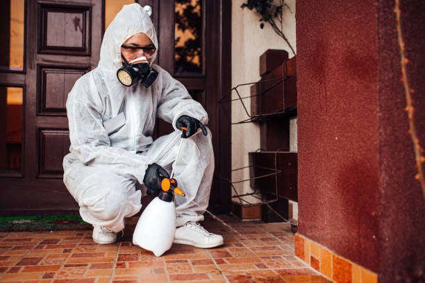 Reliable Cockroach Control contractor in Whiteriver, AZ by Nex Pest Control